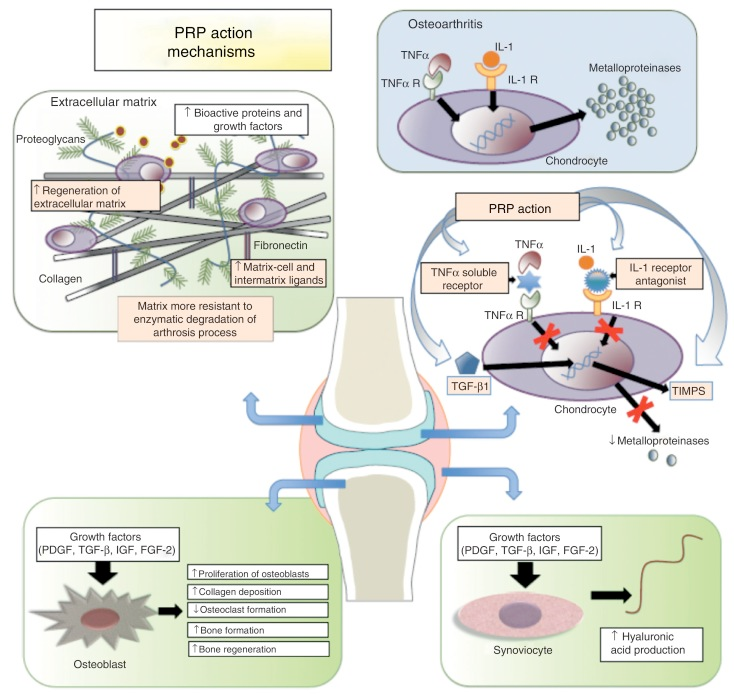 Βιολογικές Θεραπείες